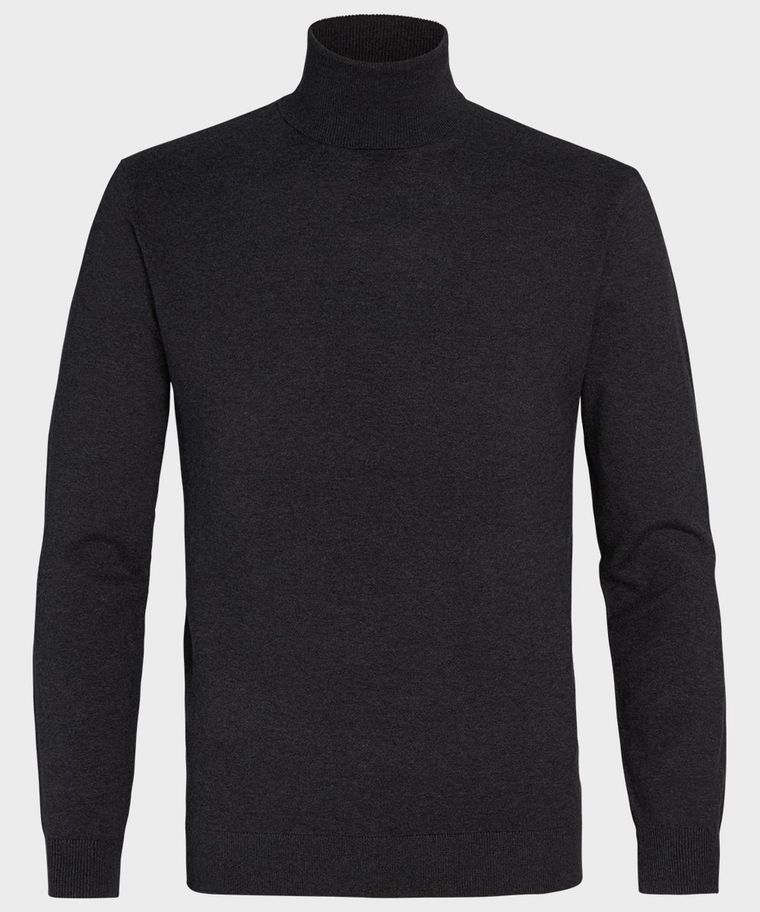 Anthra roll-neck